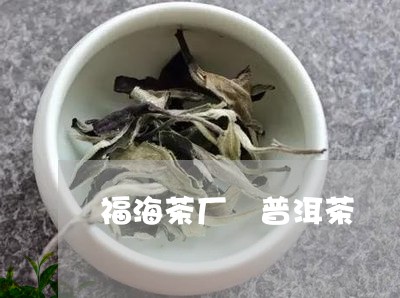 福海茶厂 普洱茶/2023041272928